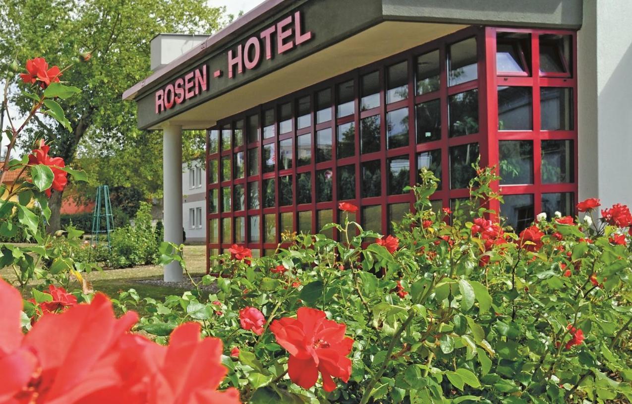 Rosen-Hotel Sangerhausen Exteriör bild